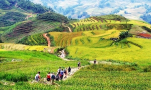 Sapa Medium Trekking 04 Nights 03 Days (By train)